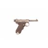 Image 2 : 19KC-252 BABY NAMBU