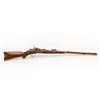 Image 1 : 19HJ-2 SPRINGFIELD TD
