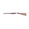 Image 1 : 19JX- 9 WINCHESTER QUAIL