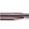Image 8 : 19JX- 9 WINCHESTER QUAIL