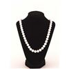 Image 2 : 19RPS-5 PEARL NECKLACE