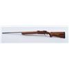 Image 1 : 19IT-4 RUGER M77 #28143596
