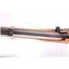 Image 8 : 19IL--3 PLAINSMAN RIFLE