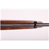 Image 8 : 19IB-82 RUGER 10-22