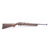 Image 1 : 19HG-14 RUGER MDL 10-22 #240-83734