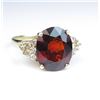 Image 1 : 19CAI-34 GARNET & DIAMOND RING