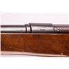 Image 3 : 19JH-8 MAUSER 12 GA