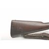 Image 8 : 19AA-63 SPRINGFIELD 1903  #781931