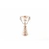 Image 1 : 19KC-42 VICTORIAN SALT CELLAR