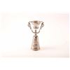 Image 2 : 19KC-42 VICTORIAN SALT CELLAR