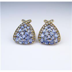 19CAI-48 TANZANITE EARRINGS
