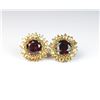 Image 1 : 19CAI-50 GARNET & CITRINE EARRINGS