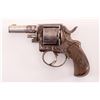 Image 2 : 19HX-2 BRITISH BULLDOG