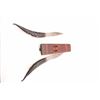 Image 3 : 19HX-11 DAGGERS