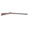 Image 2 : 19LE1-2 THOMPSON-CENTER HAWKEN PERC RIFLE