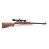 Image 2 : 19LB-1 MENDOZA PUMA #PZZ00018