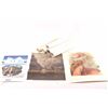Image 2 : 19KC-110 PRINT LOT