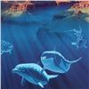 Image 2 : Beneath the Grand by Schimmel, William