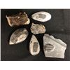 Image 1 : 6 PIECE FOSSIL LOT