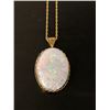 Image 1 : Opal Pendent