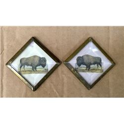 Pair Bridle Rosettes With Buffalo