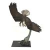 Image 1 : Bronze Eagle In Flight