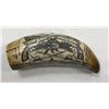 Image 1 : Scrimshaw Tooth