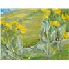 Image 1 : Sonia Cornwall - Sunflower Hills, 1997