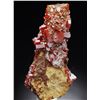 Image 2 : Natural VANADINITE Crystals on Matrix - MOROCCO