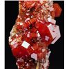 Image 5 : Natural VANADINITE Crystals on Matrix - MOROCCO