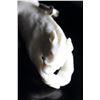 Image 3 : Natural Hand Craved Antler 3D Boar Pendant