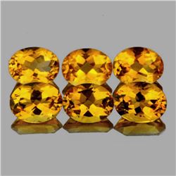 Natural Golden Yellow Citrine 6 Pcs {Flawless-VVS1}
