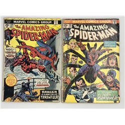 Lot of (2) 1974 Marvel Amazing Spider-Man 1st Series Comic Books with #134  #135