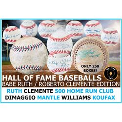 Mystery Ink Hall of Fame Baseball Babe Ruth / Clemente Mystery Box Edition! 1 HOF Signed Baseball In