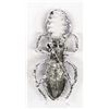 Image 2 : Large Bling Bling Stag Beetle Pin