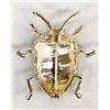 Image 2 : June Bug Pin