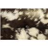 Image 2 : Goat Hide