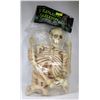 Image 1 : NEW SKELETON IN PACKAGE - UNASSEMBLED.