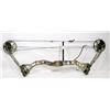 Image 1 : BEAR COMPOUND BOW.