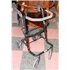 Image 1 : EVOLUTION WALKER.