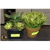 Image 1 : LOT OF 2 SMALL ARTIFICIAL DECORATIVE PLANTS