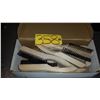 Image 1 : Box of Shoe Brush 10" x 3/8" x 5"1/2