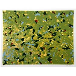 Domenick Turturro, Fern Hills, Serigraph