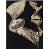 Image 1 : Lynda Benglis, Dual Nature (Black), Lithograph with Gold Leaf on Hand Tinted Paper