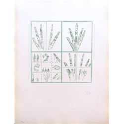 Joan Ponc, Fingers, Etching