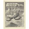 Image 1 : Wojtek Kowalczyk, Message in a Bottle, Lithograph