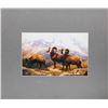Image 1 : Max Epstein, Big Horn Sheep at the American Museum of Natural History, C-Print