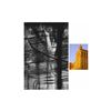 Image 1 : Max Yawney, Clear Bottle Longevity, C-Print Photograph