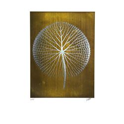 Jonathan Singer, Giant White Amazon Waterlily on Gold, Digital Photograph