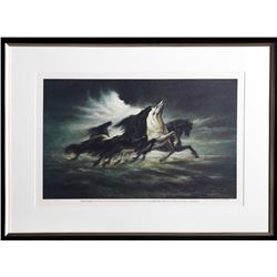 Lumen Martin Winter, Steeds of Apollo (Apollo XIII), Lithograph